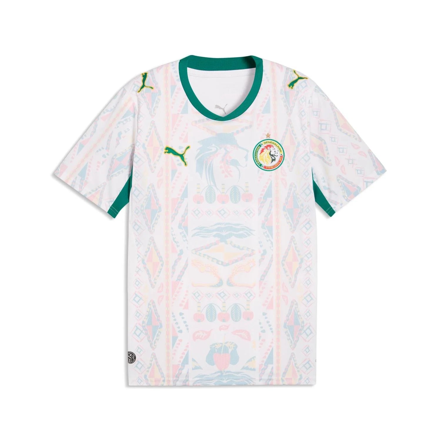 FIFA SENEGAL WORLD CUP 26