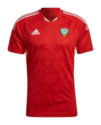 FIFA UAE WORLD CUP JERSEY (AWAY)